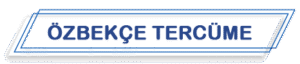 istanbul beylikdüzü özbekçe tercüme